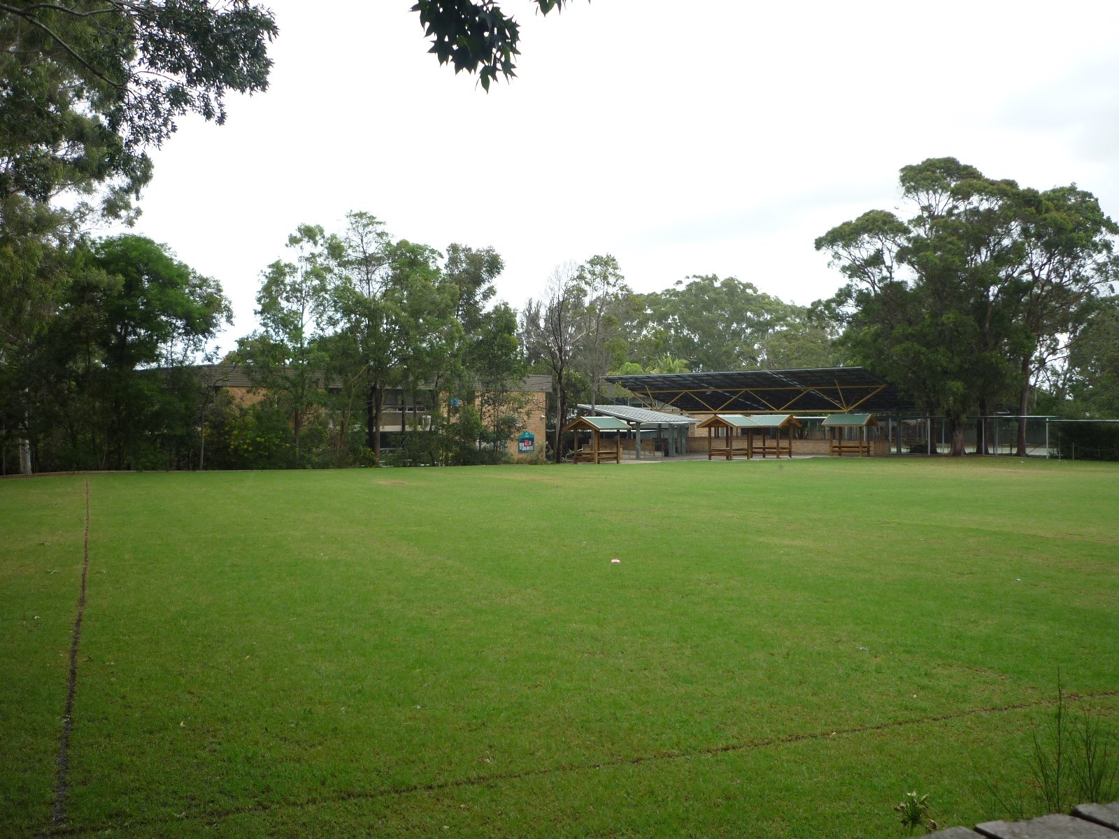 Turramurra High School front oval looking from Maxwell St